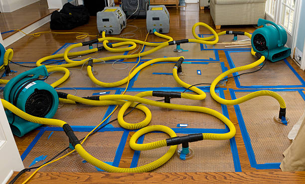 Professional Burst Pipe Water Damage technician working in Montpelier, ND